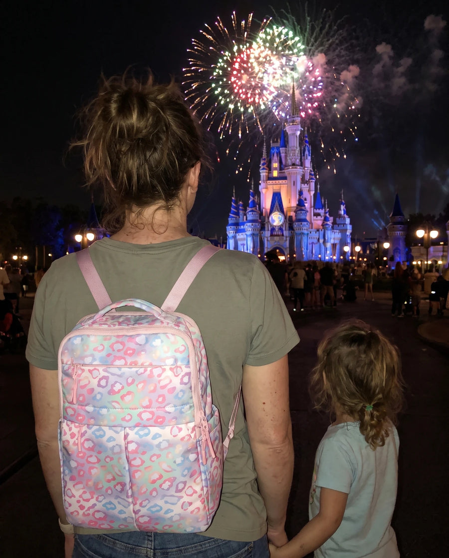 One Bag From the Flight to the Fireworks