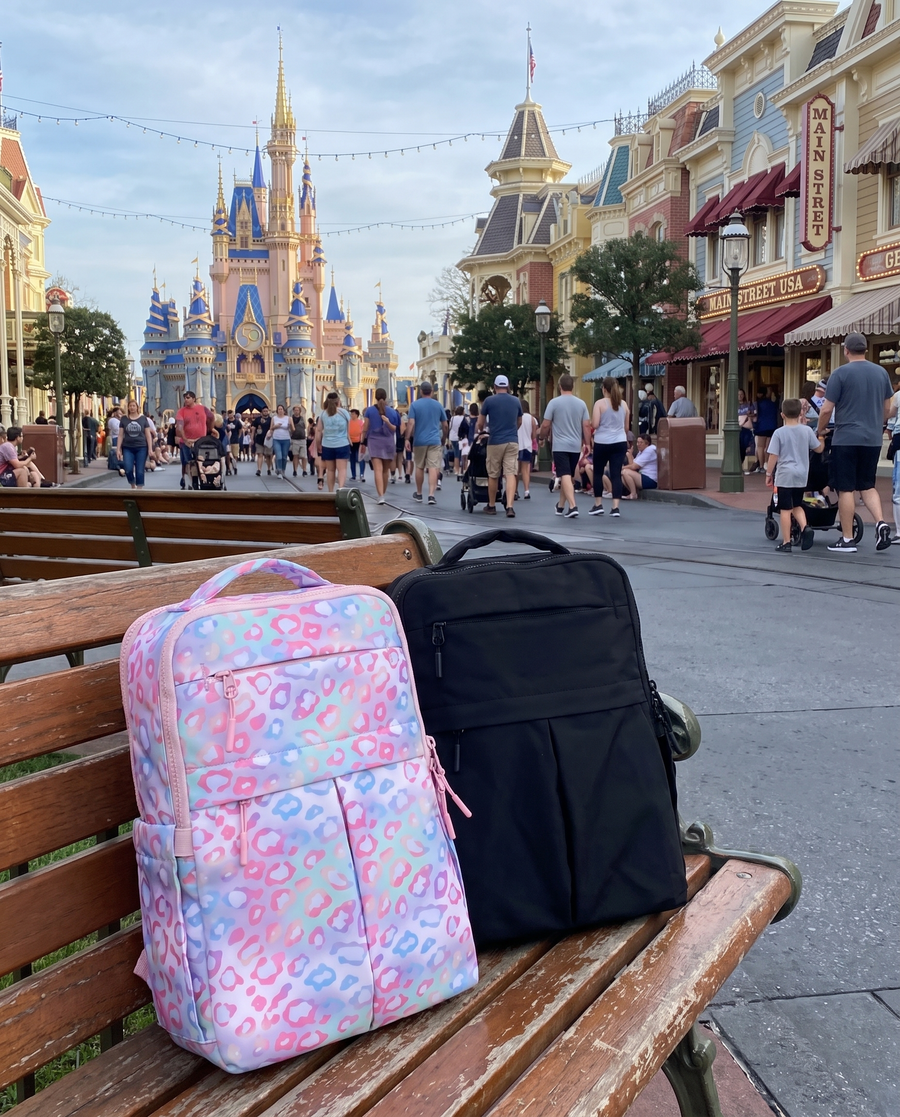 Possibly the Cutest Mini Backpack in the Whole Park