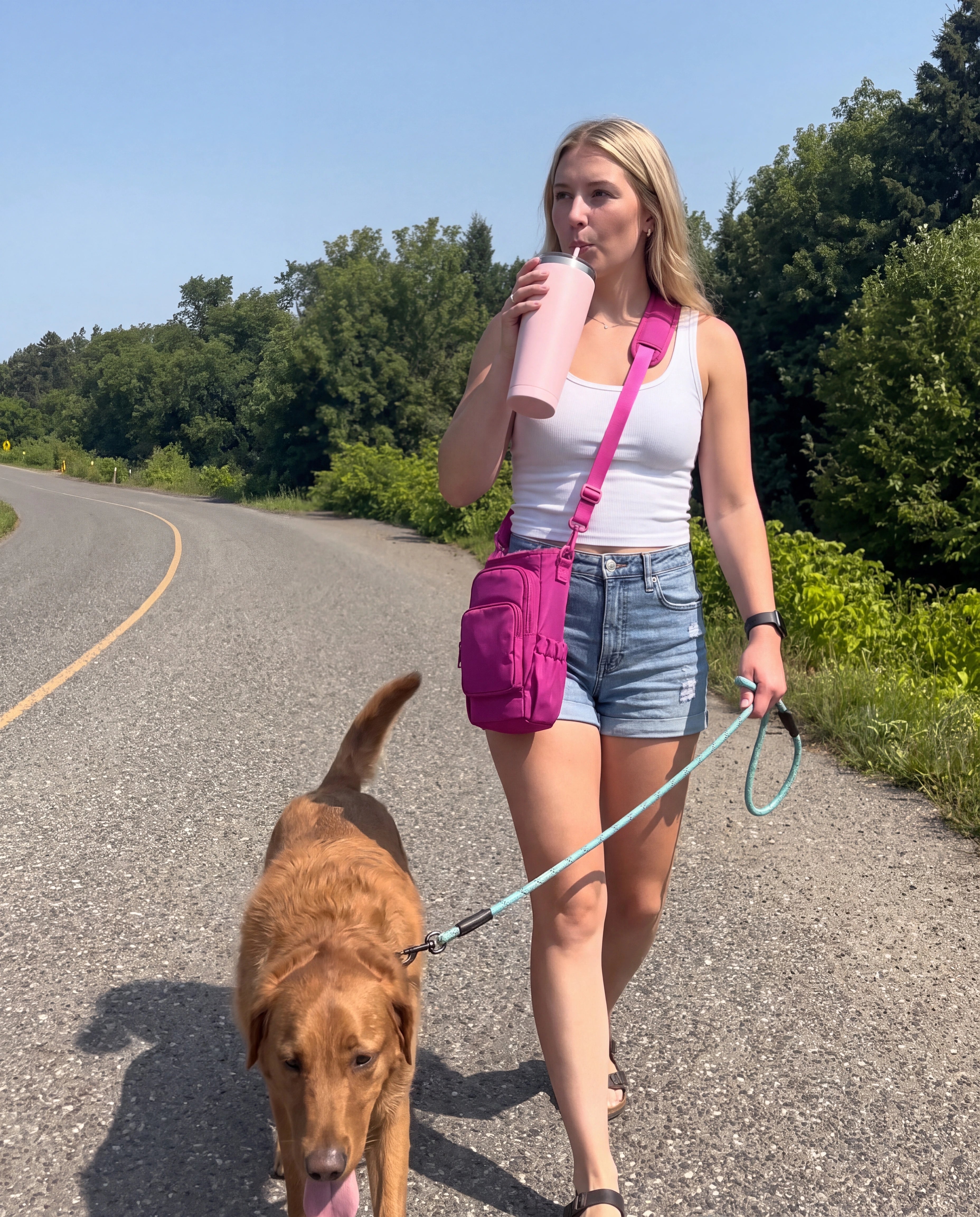 The Dog Walk With Both Hands Free